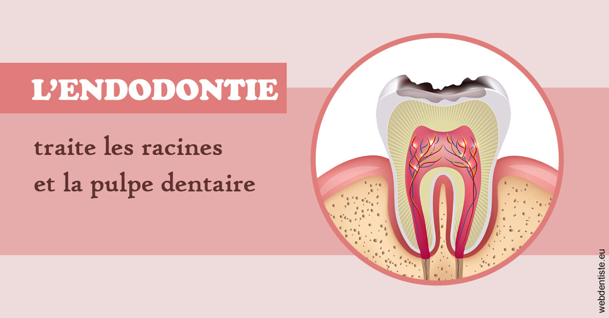 https://dr-cohen-guedj-sophie.chirurgiens-dentistes.fr/L'endodontie 2