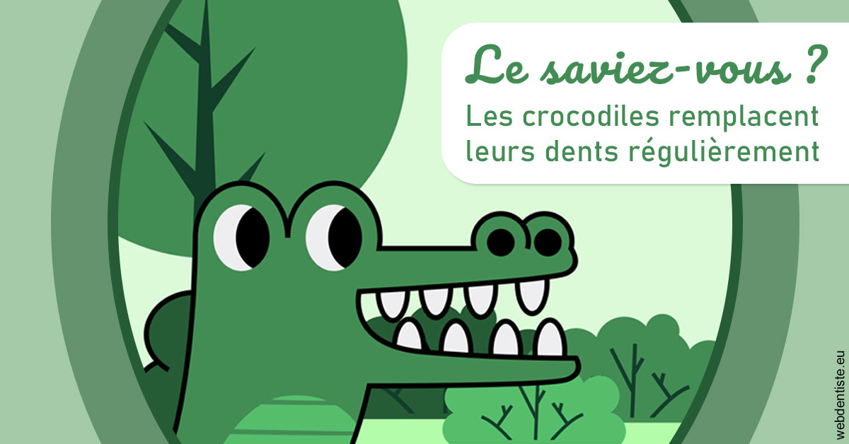 https://dr-cohen-guedj-sophie.chirurgiens-dentistes.fr/Crocodiles 2